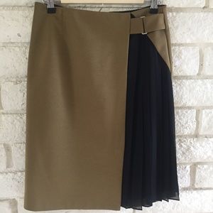 Zara Skirt with Sheer Pleated Panel